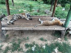 -西安秦岭野生动物园