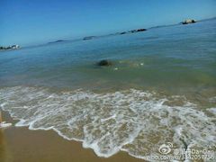 android_upload_pic-白城沙滩