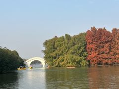 -上海海湾国家森林公园