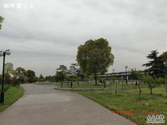 CIMG1726-苏州太湖西山岛开心农场