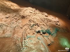 -世界恐龙谷景区