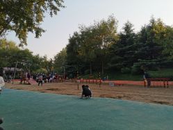-酷酷兔少儿拓展天地