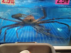-日进一片海.生腌海鲜火锅.宵夜烧烤(三里屯总店)