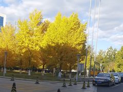 -锦江富园大酒店-游泳馆