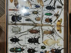 -恋物百货商店(华侨城店)