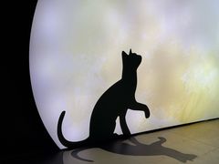 -交通银行前滩31演艺中心