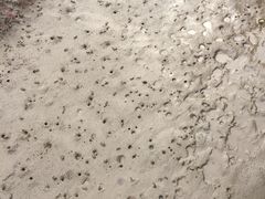 -红海滩国家风景廊道