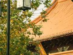 -苏州文庙(姑苏区)