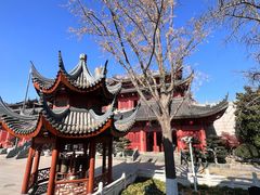 -上海东林寺(金山区)