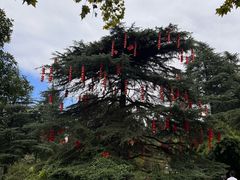 -花溪公园