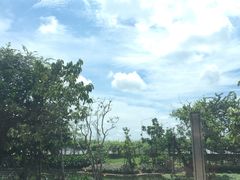 -王权免税店(廊曼机场店)