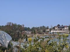 -樱桃山旅游景区