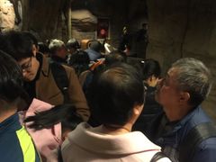 -中华恐龙园