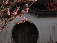 -雨花胜境