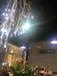 -J-Flying艺术形象设计
