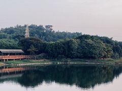 -广东花都湖国家湿地公园