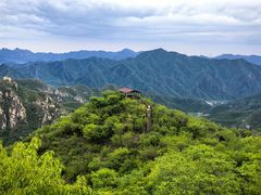 -大岭沟猕猴桃谷风景区