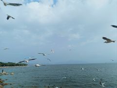-深圳湾公园(南山区)