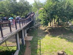 -石家庄市动物园