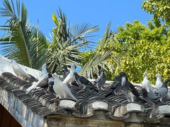 -厦门园林博览苑