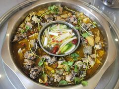 -黑河坝泡姜鸡贡椒鱼(贾旗路店)