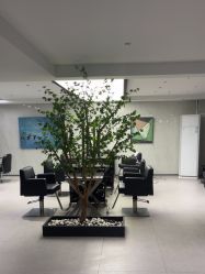 -付军剪艺JF ProSalon