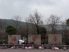-香雪海