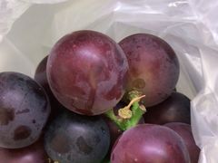 -鲜力达果品批发直销(青山店)