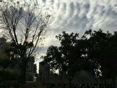 -西安大唐西市博物馆