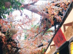 -云境生态园(红谷滩店)