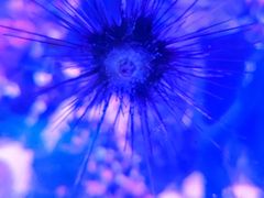 -沈阳海洋探索中心