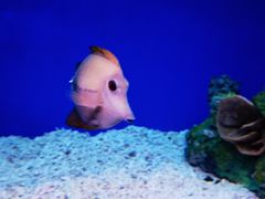 -乌鲁木齐海洋馆