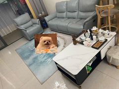 -红星美凯龙(山东全球家居1号店)