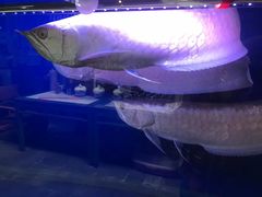 -皇家冰窖小院(什刹海店)