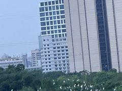 -文华公园(禅城区)