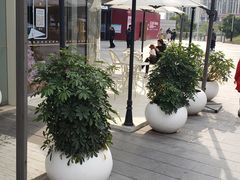 -奈雪的茶(东原悦荟店)