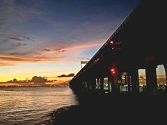 -宝安西湾红树林湿地公园