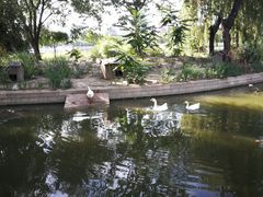 -莲花池公园