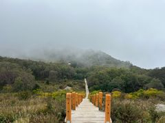 -白草畔自然风景区