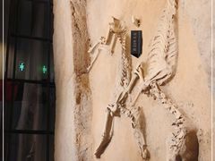 -洛阳周王城天子驾六博物馆