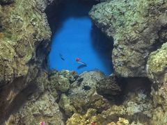 -福州罗源湾海洋世界旅游区