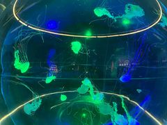 -南昌融创海世界