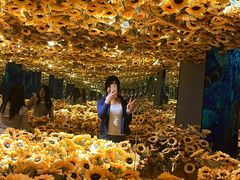 -成都梵高星空艺术馆(春熙路旗舰店)