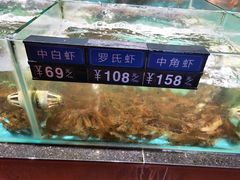 水产区-昌隆•家家鹅乡•海南菜老字号(琼海店)