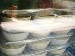 门面-义顺牛奶公司(新马路老店)