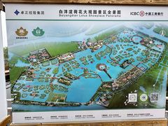-荷花大观园