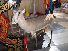 -老阿妈蒙古村·蒙古包·草原文化·歌舞表演(老君堂店)