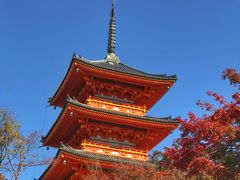 -有栖山 清光院 清水寺