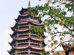 -铁山坪森林公园