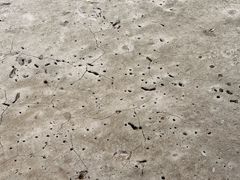 -东寨港红树林旅游区